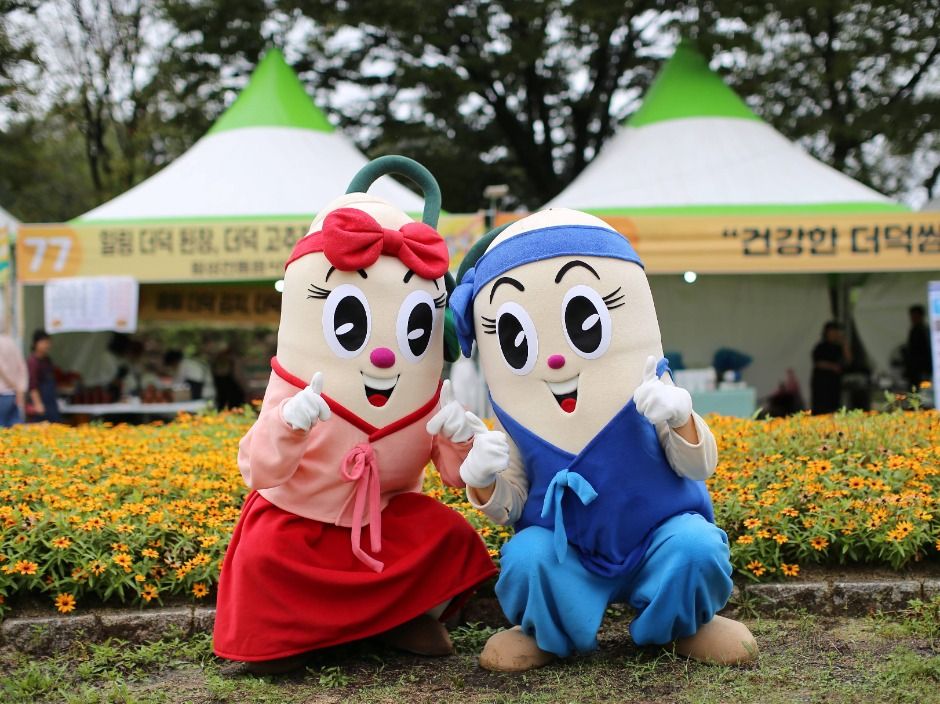 횡성더덕축제 관련 이미지 