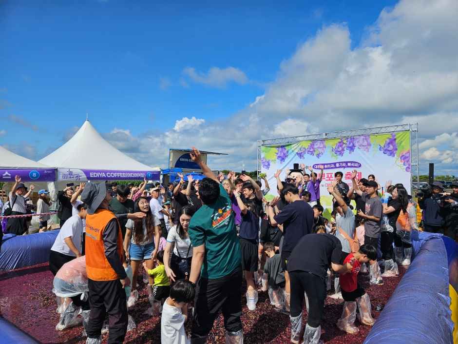 안산 대부포도축제 관련 이미지 