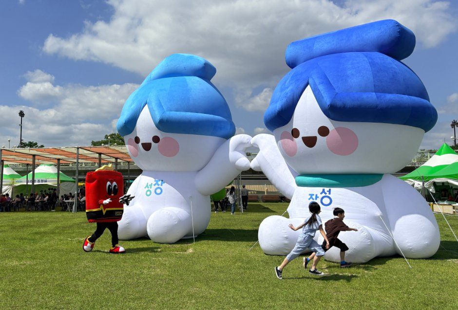 장성 황룡강 가을꽃축제 관련 이미지 