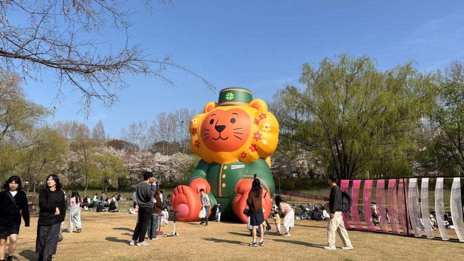 양재아트살롱 관련 이미지 