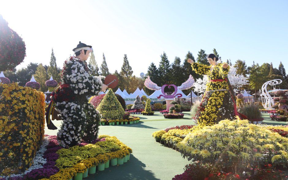 익산천만송이 국화축제 관련 이미지 