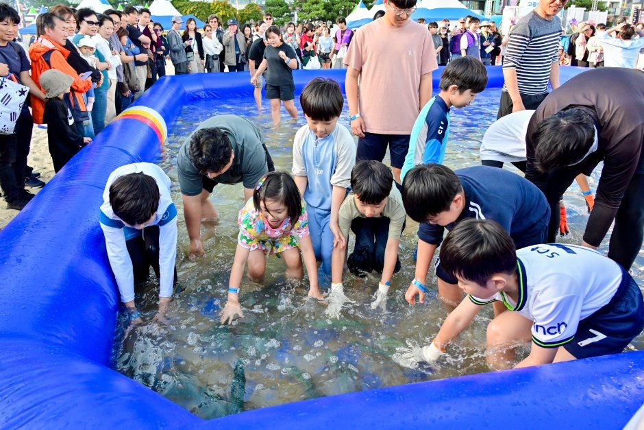 부산고등어축제 관련 이미지 