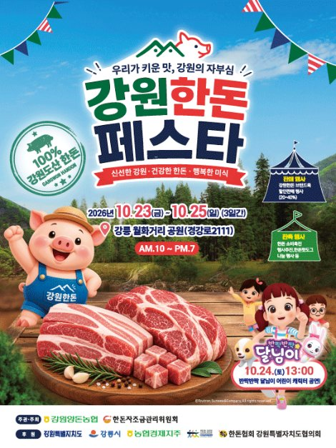 강원한돈페스타 관련 이미지 