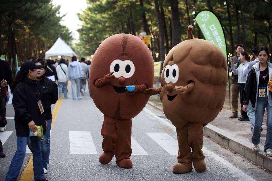 강릉커피축제 관련 이미지 
