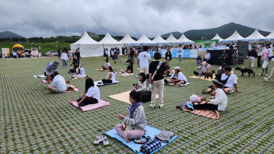제주 반려동물 문화산업 한마당 관련 이미지 