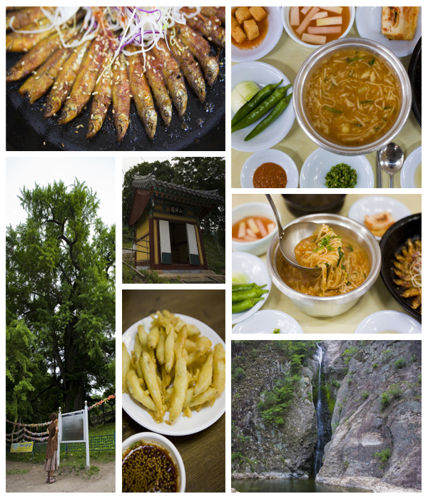 벗과 함께 추억을 나누는 맛 영동어죽
