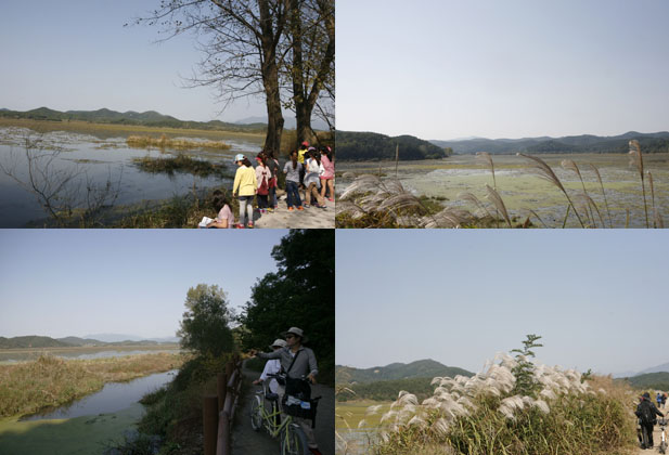 느리고 고요하게 가을 늪을 달리다, 우포늪