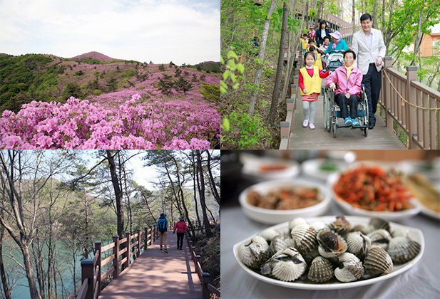 모든 이들에게 열린 숲, 보성 제암산자연휴양림