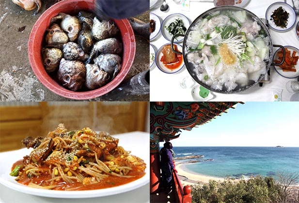동해안의 겨울 별미 삼총사, 대진항 도치․장치․곰치
