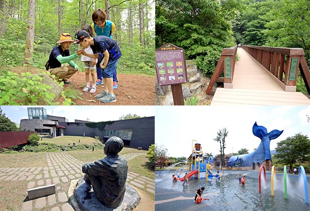 원시림으로 들어가는 비밀의 문, 양구생태식물원