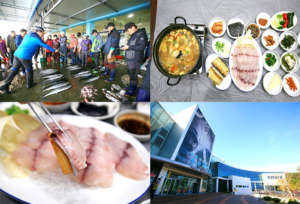 겨울철 진객, 삼치를 맛보다. 전남 고흥 나로도항