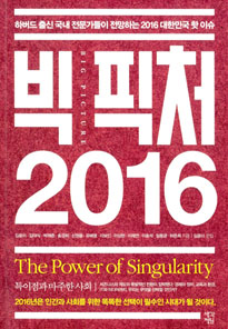 빅 픽처 2016