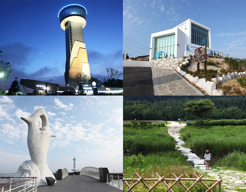 도심 한복판에서 만나는 초록 세상, 울산 태화강 십리대숲