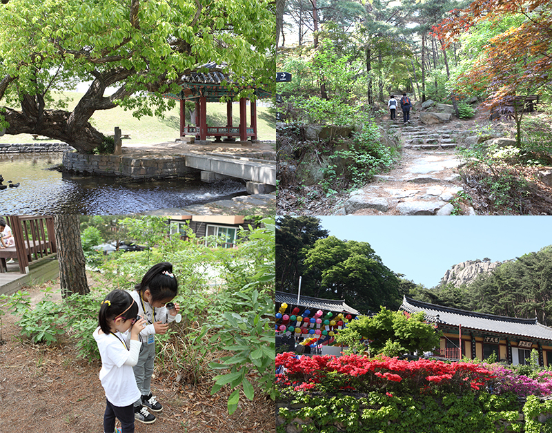 싱그러운 초여름 숲을 찾아, 홍성 용봉산자연휴양림