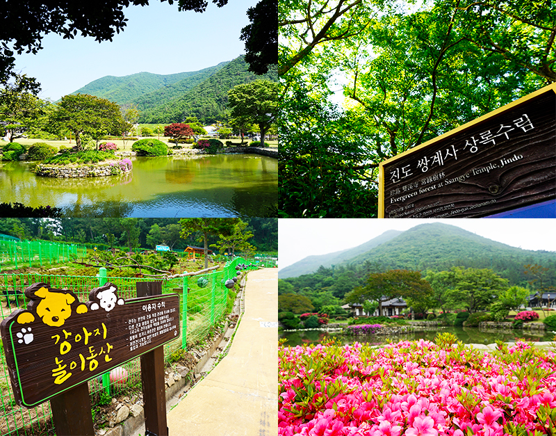 구름 숲 속 화가의 방