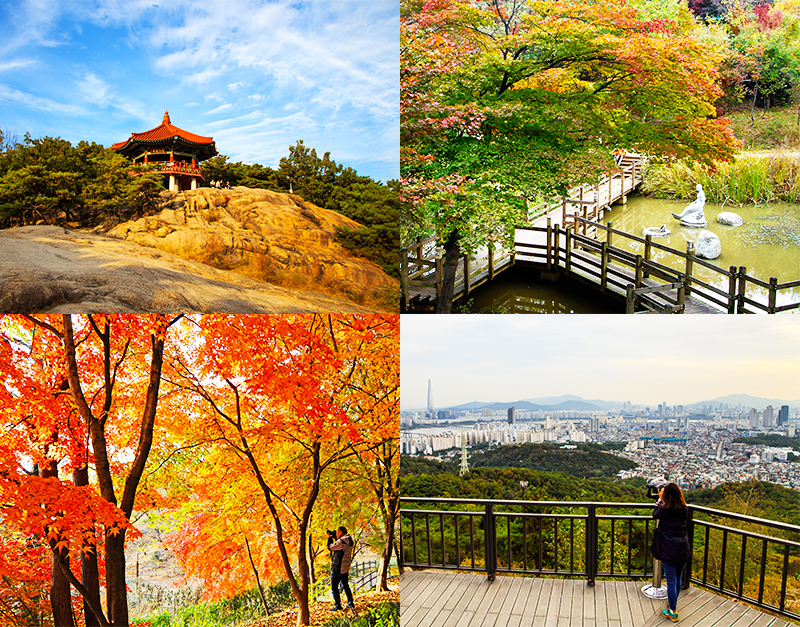 울긋불긋 단풍에 취하고, 파노라마 전망에 반하고! 아차산