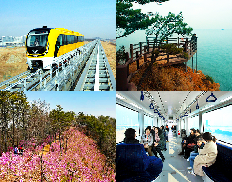공항철도 타고 한나절 섬 여행, 인천 무의도와 장봉도
