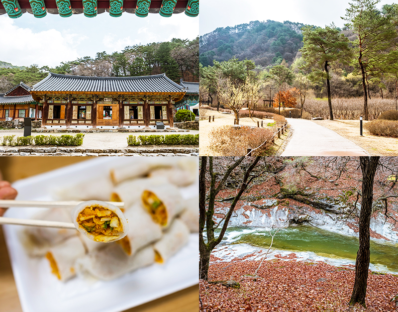피톤치드 느끼며 가족과 함께 걷기 좋은 홍천 수타사산소길