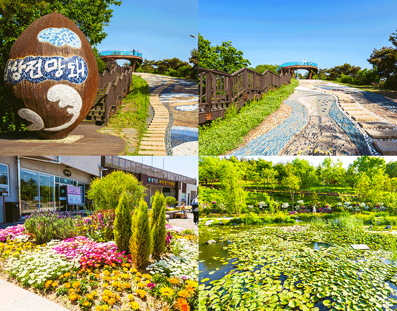 향기에 취하고 바다에 반하고, 안산 바다향기수목원(신규개방 관광지)