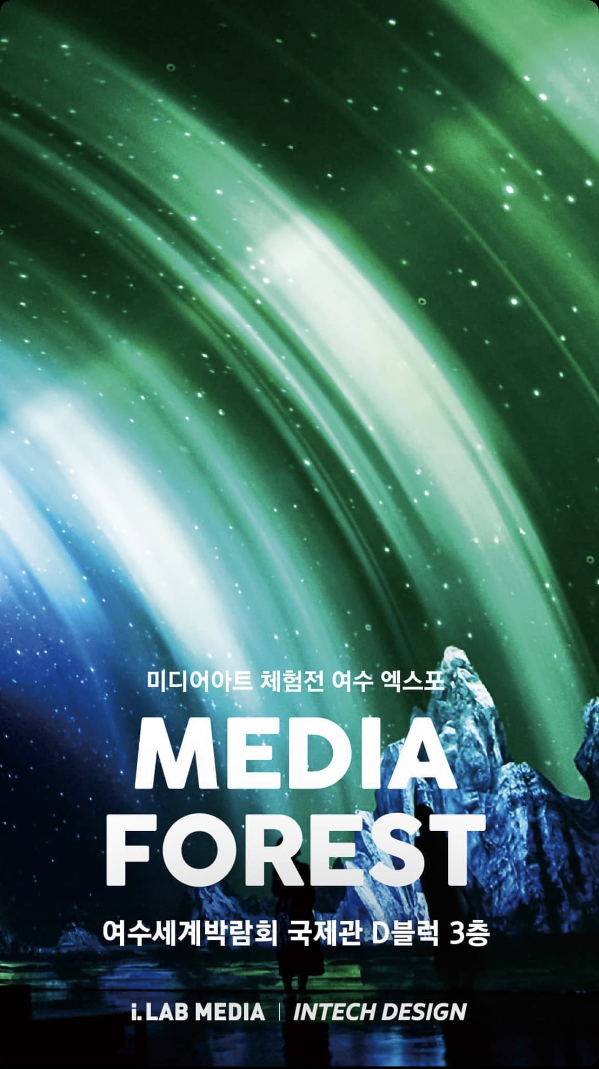 MEDIA FOREST