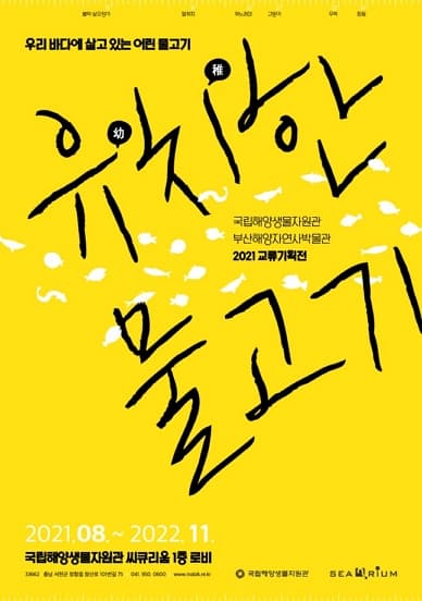 [전시]2021 교류기획전 「유치幼稚한 물고기」
