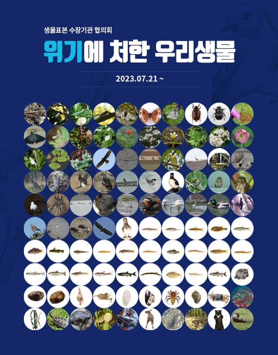[전시]위기에 처한 우리 생물
