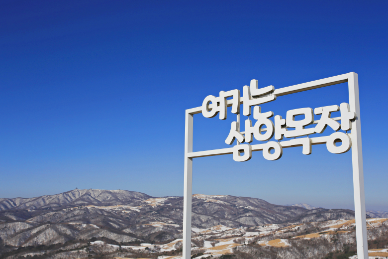 대관령으로 떠나는 무해한 여행