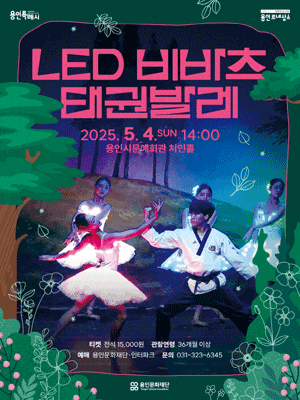 [용인] LED 비바츠 태권발레