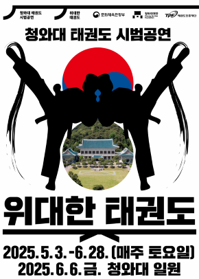 [기타]2025 청와대 태권도 시범공연 <위대한 태권도>