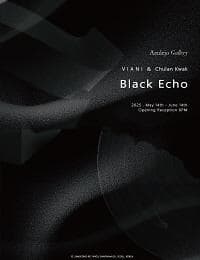 [전시]곽철안, 비아니〈Black Echo〉