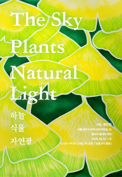 하늘, 식물, 자연광 (The Sky, Plants, Natural Light)