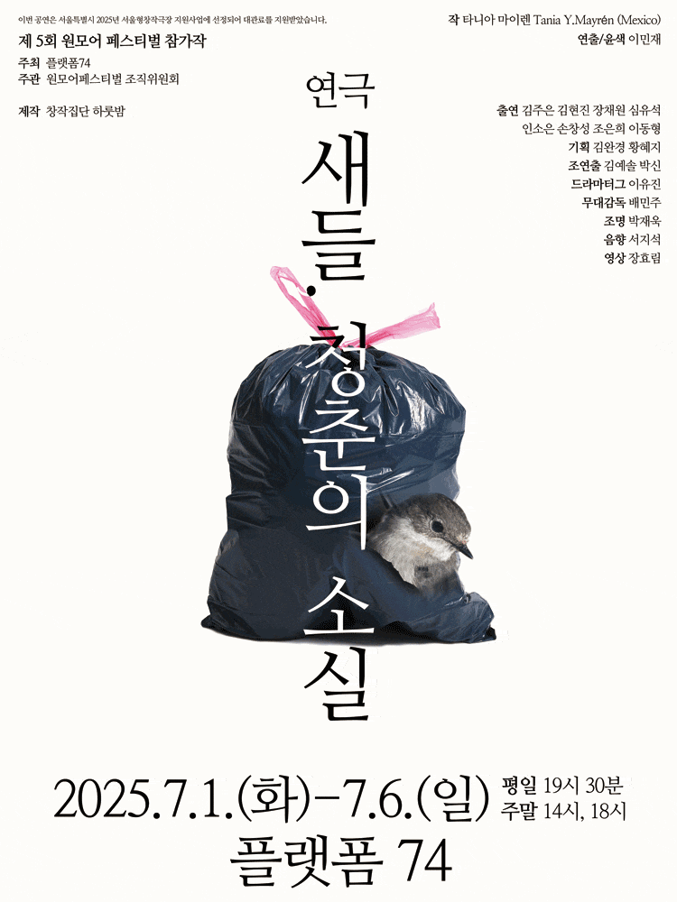 제5회 원모어 페스티벌: 새들, 청춘의 소실