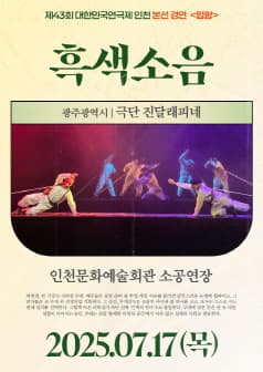 제43회 대한민국연극제 인천, 흑색소음
