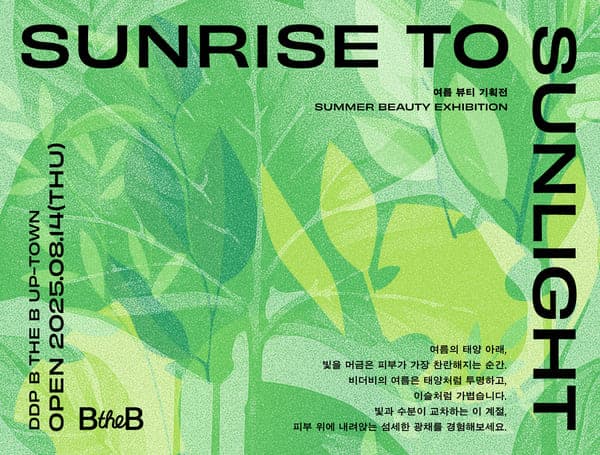 선라이즈 투 선라잇(Sunrise to Sunlight)