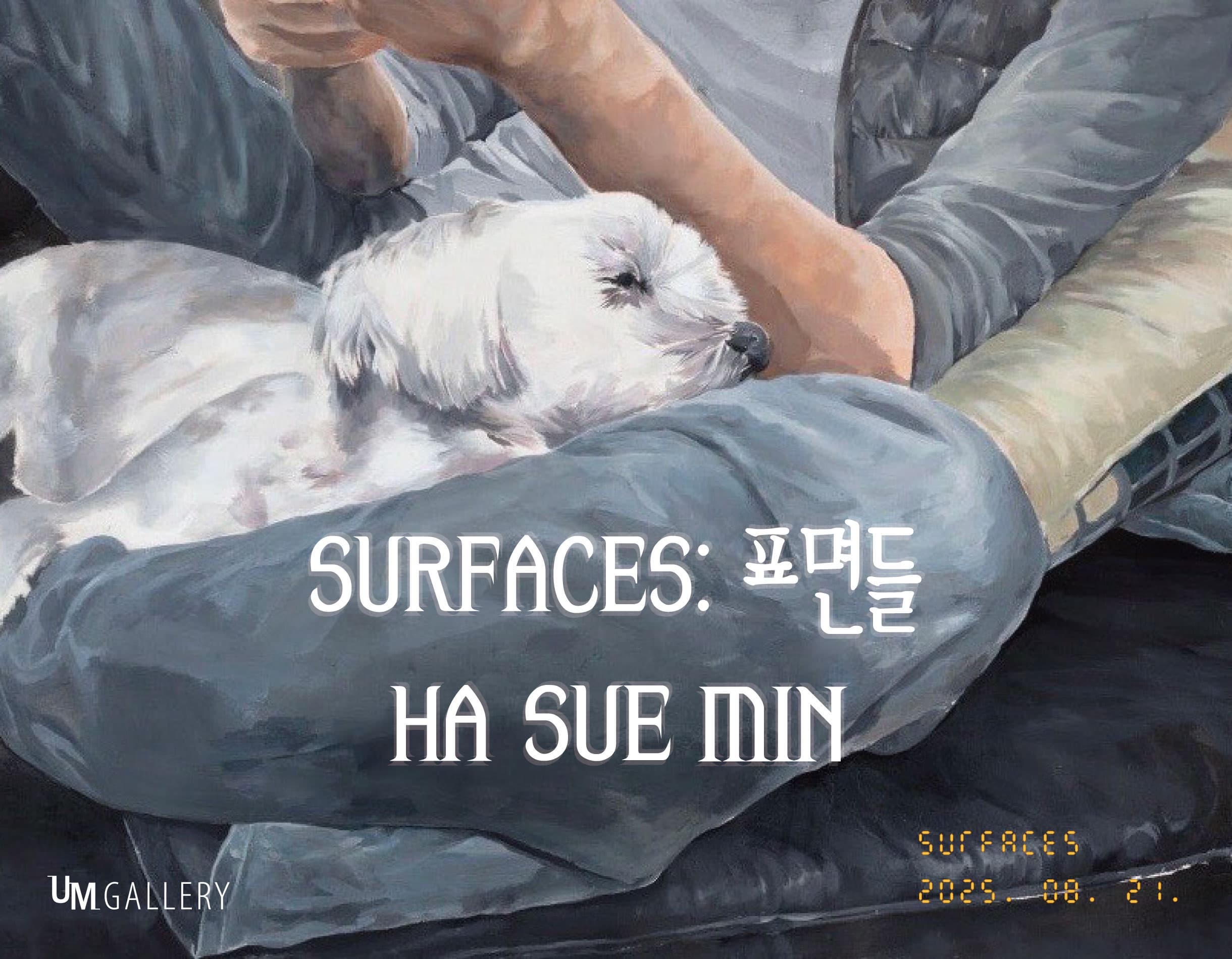 SURFACES: 표면들