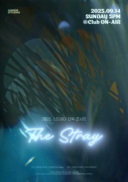 스트레이 단독 <b>콘서트</b>: The Stray