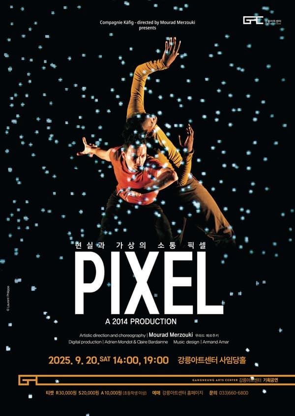 [강릉] 픽셀 PIXEL