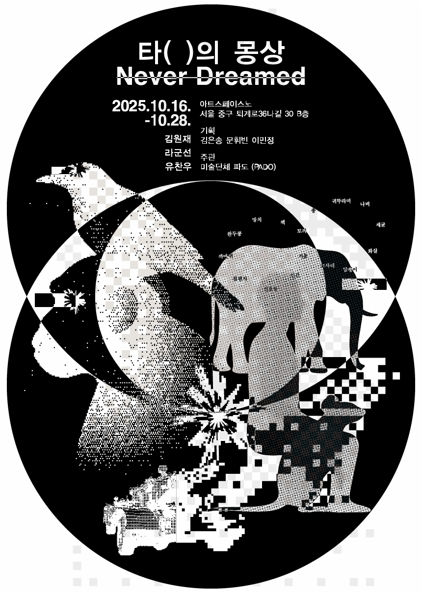타( )의 몽상: never dreamed