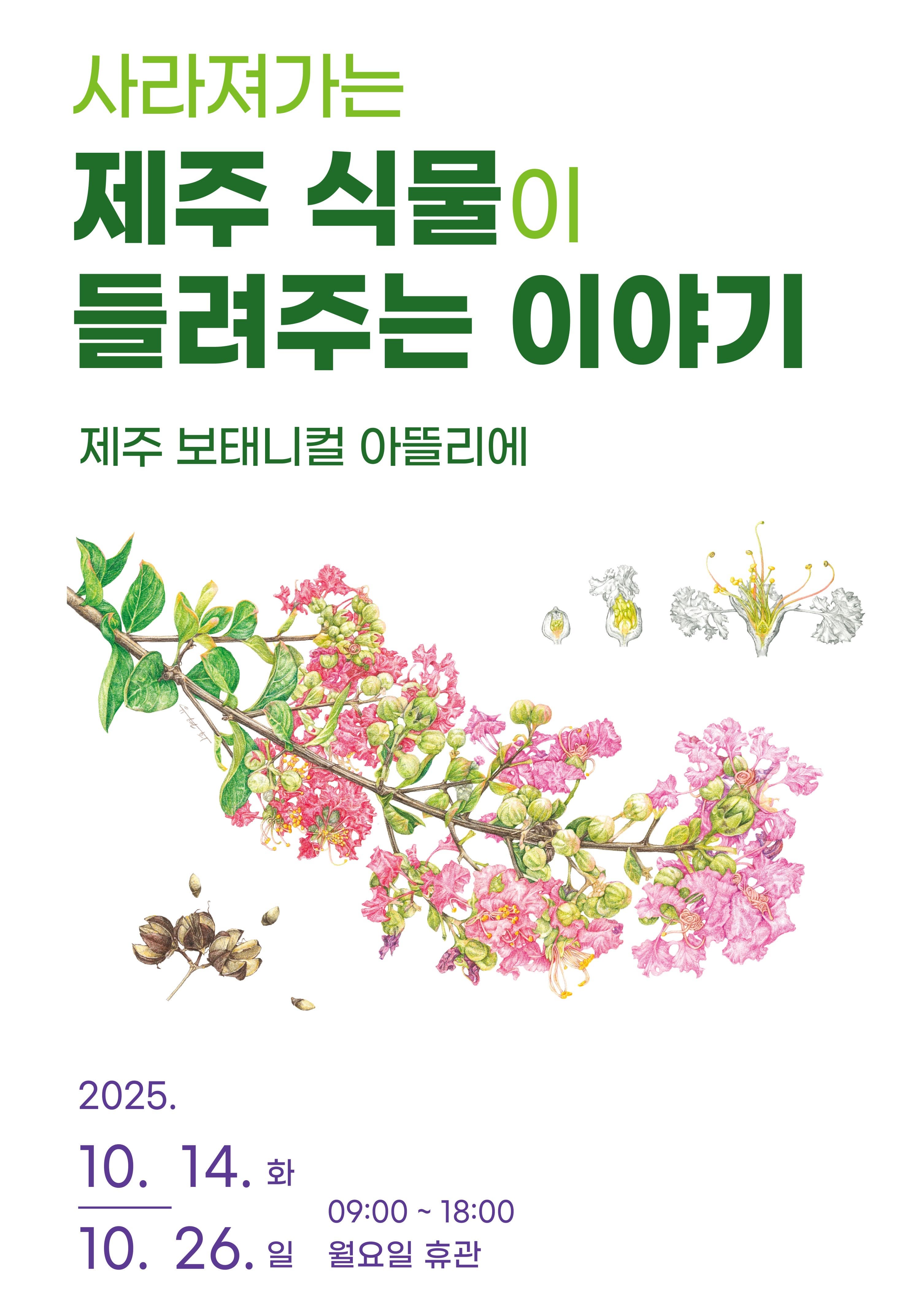 [전시]사라져가는 제주 식물이 들려주는 이야기