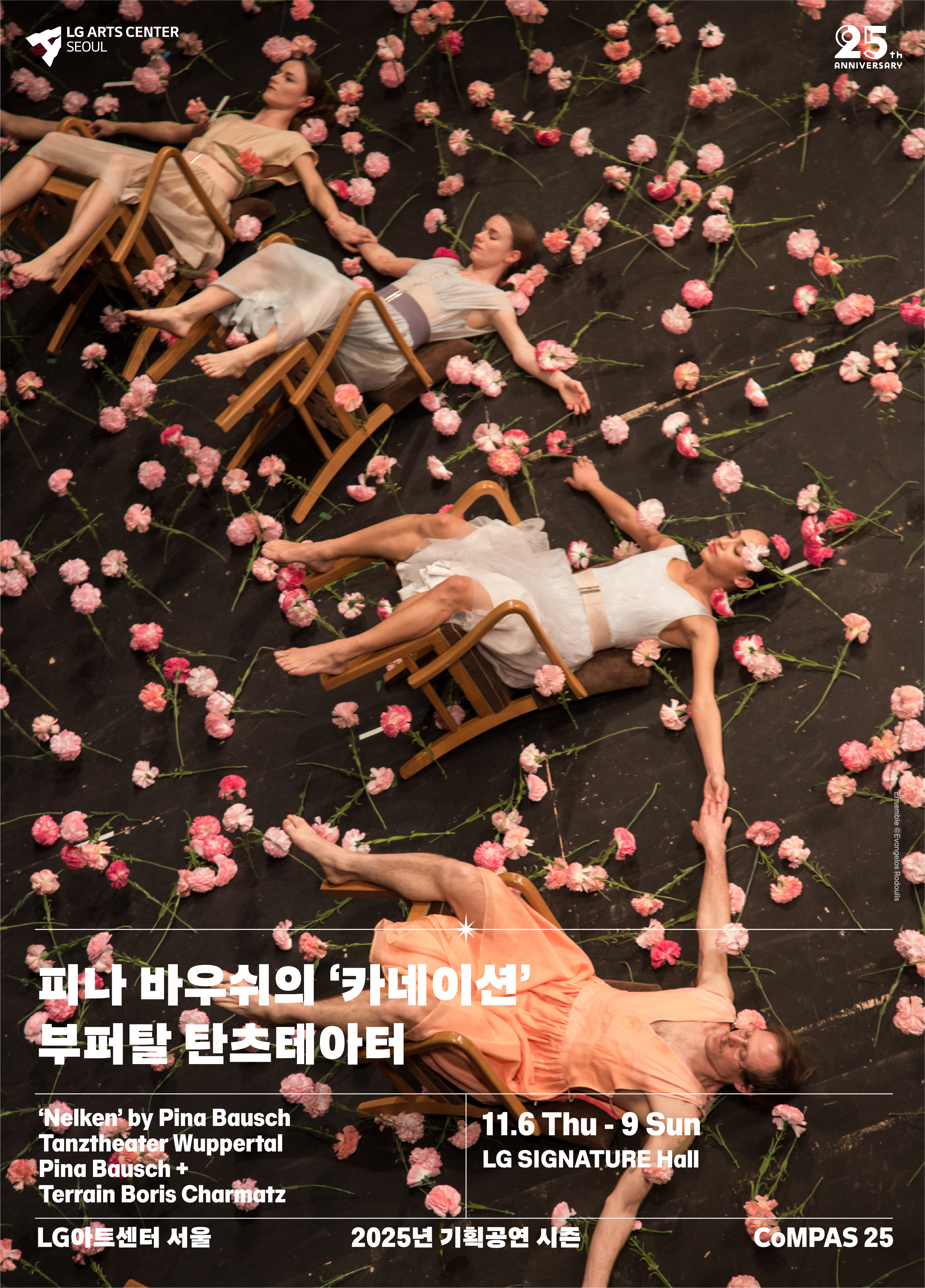 [무용]피나 바우쉬의 '카네이션', 탄츠테아터 부퍼탈