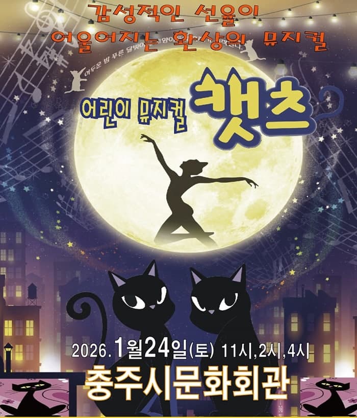 [충주] 어린이 캣츠