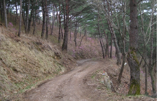 소백산 자락길(의풍옛길)