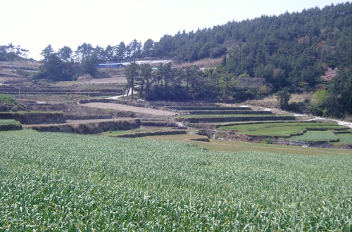 청산여수길(구들장논)