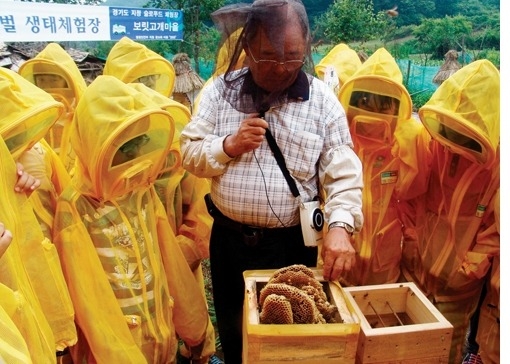 보릿고개마을에서 양봉체험을 하는 학생 관광객들