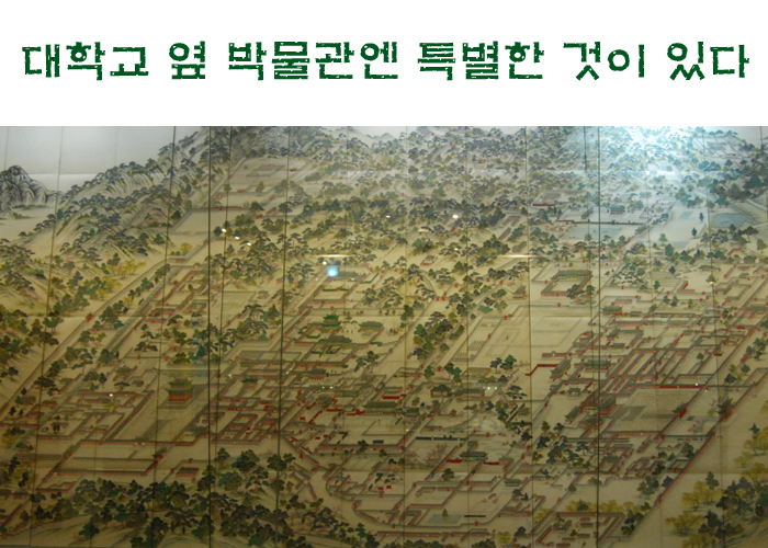 대학박물관(대학교 옆 박물관엔 특별한 것이 있다)