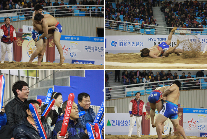 2011 천하장사 씨름대축제