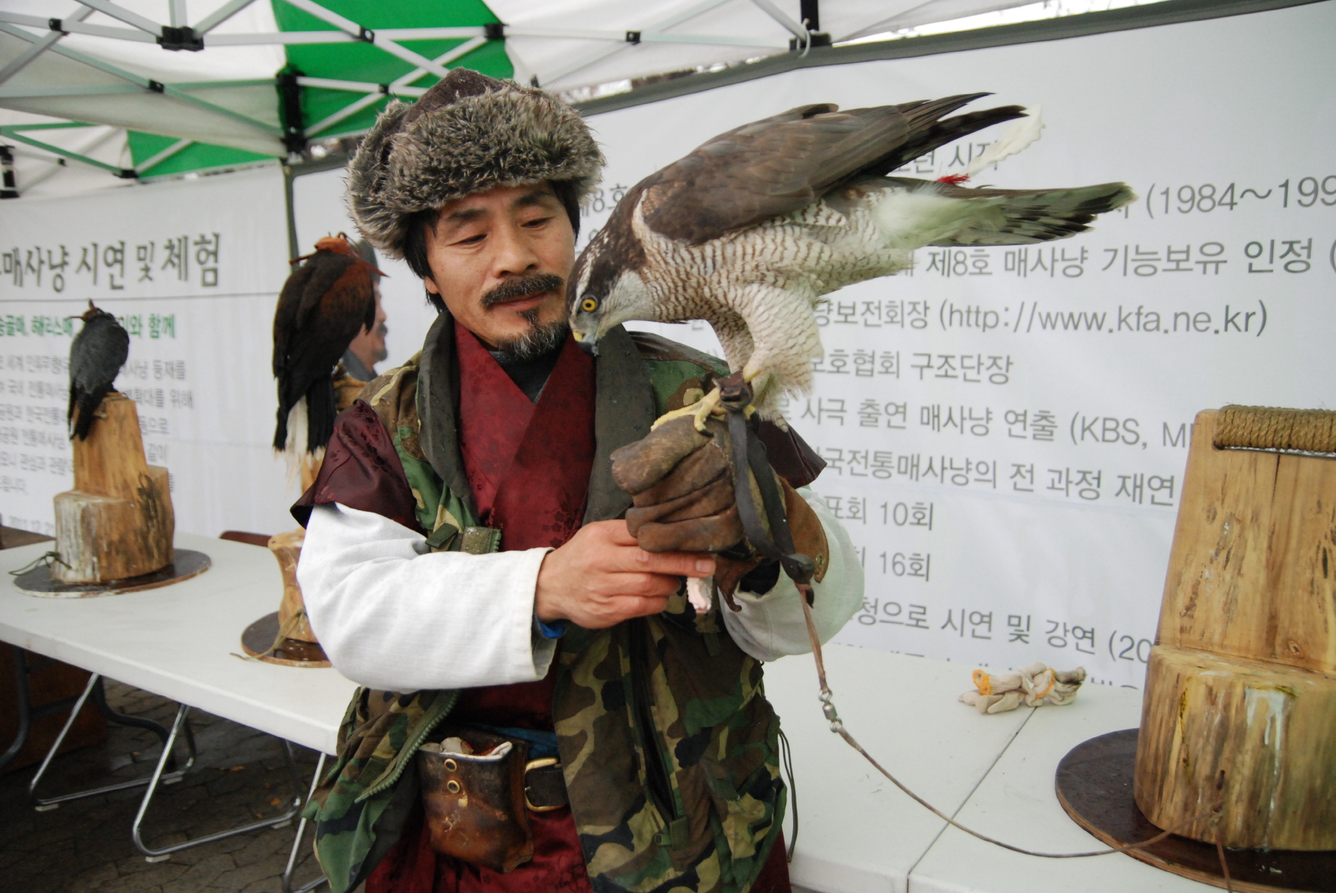 매 사냥 기능보유자 박용순