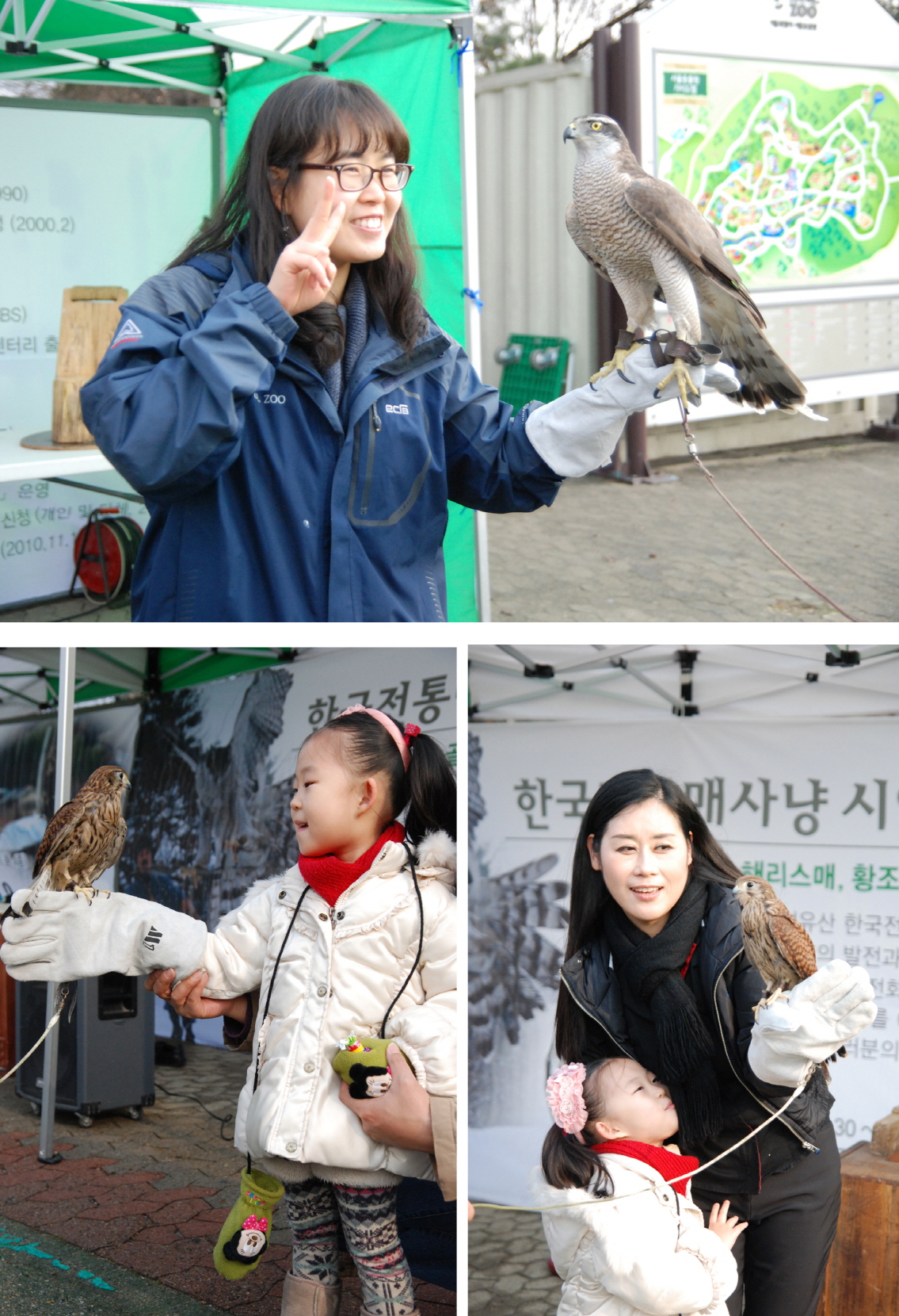 매 사냥 기능보유자 박용순 응사 