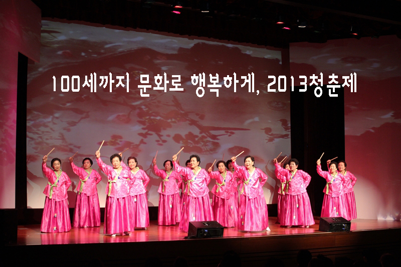 100세까지 문화로 행복하게. 2013청춘제