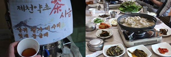 약초 시식 